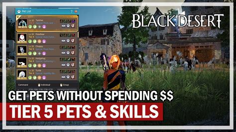 MY TIER 5 PETS & SKILLS INFORMATION GUIDE.